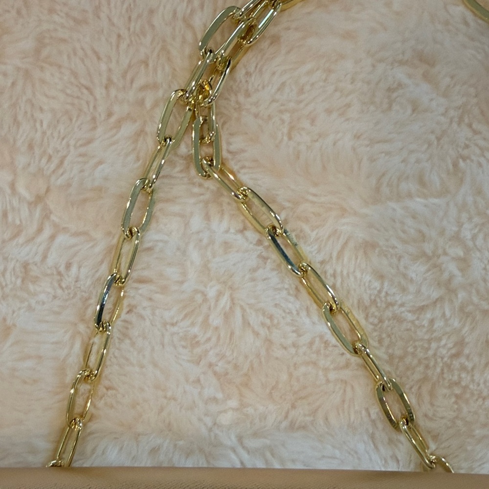 Lilly Pulitzer Gold Crossbody Bag with Floral Accent - Picture 5 of 6